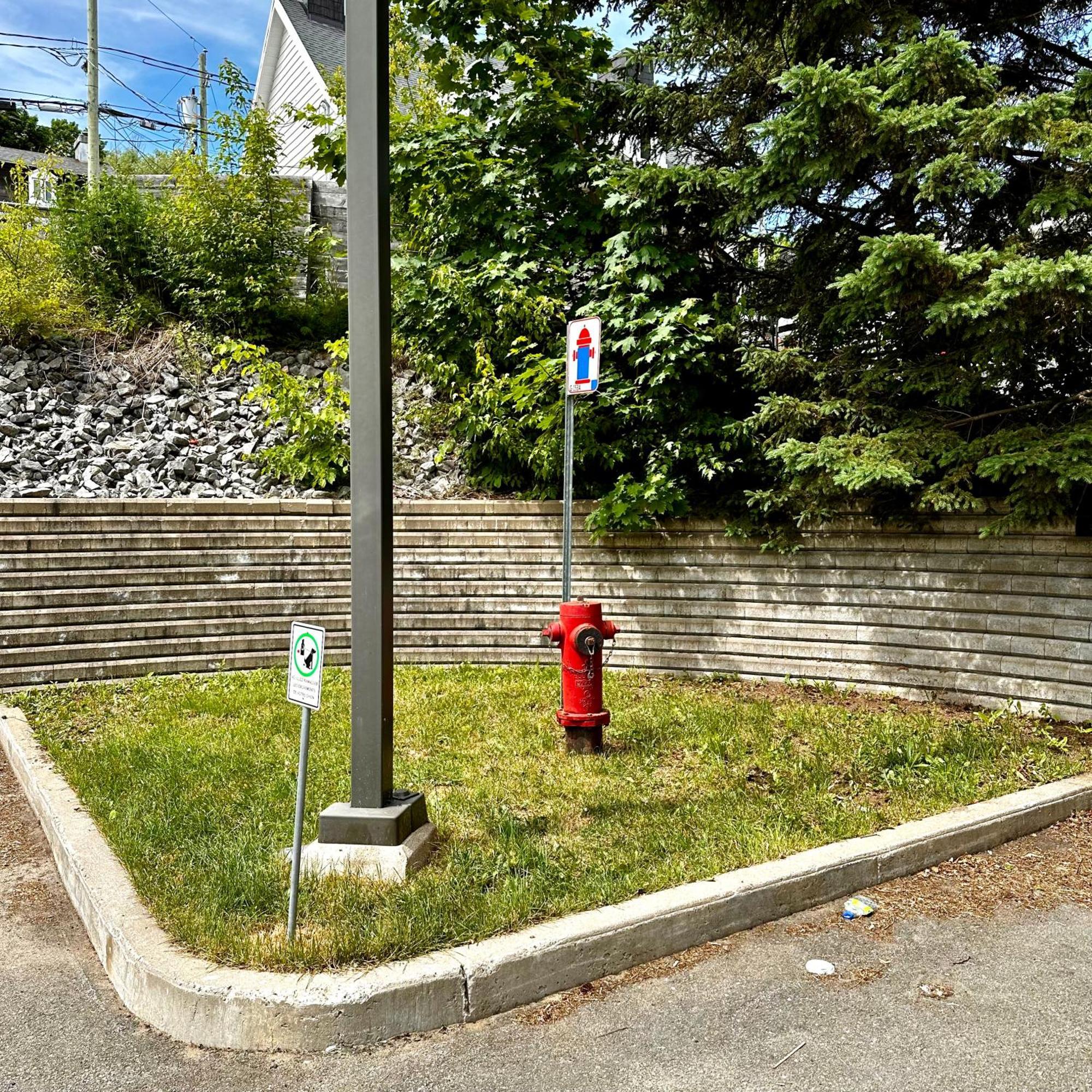 Initial - Citadin - Chutes-Montmorency Boischatel Bagian luar foto